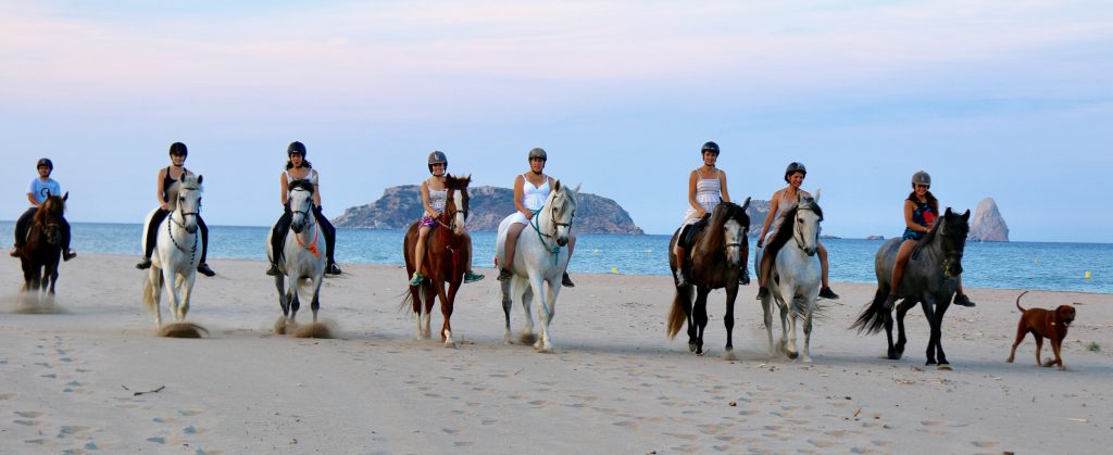 Platja Estartit cavalls platja Prínceps i Princeses a la platja de l'Estartit.