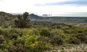 Rutas en el Parque Natural Montgrí, Islas Medes - Inmocosta API