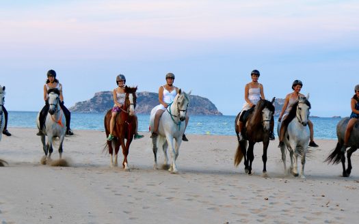 Come and discover the Natural Park in a very different way. The Hípica Mas Paguina offers excursions on horseback in this unique and special environmente of the Natural Park of Montgrí - Medes Islands and Baix Ter. Discover all the flora and fauna of the park by horse. They offer one hour long excursions, and they even offer, in the low season, five hour long excursions. They already have routs established, although they are always creating new ones.  They also organize fressage contests, birthday parties and they have a competition team that trains and competes regularly throughout the year. What are you waiting for? Come and join them.