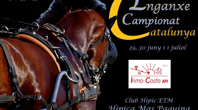 This year 2018, the Championship of Catalonia of Path to the Equestrian Mas Paguina of L'Estartit will be held. It will be a very interesting test where the best carriages of Catalonia will come. It will be worth the trouble to give it a look. You can not miss